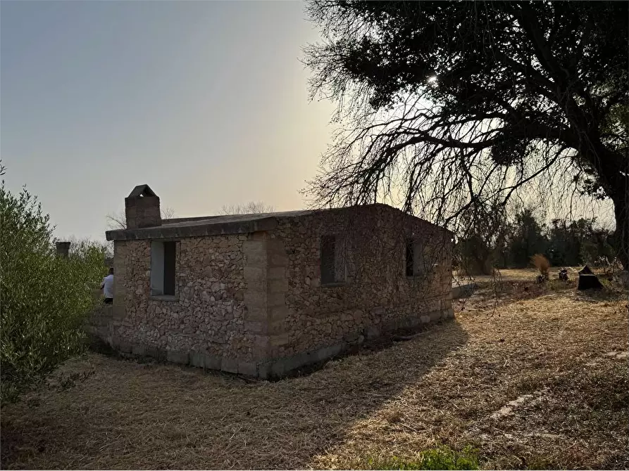 Immagine 3 di Rustico / casale in vendita  a Casarano