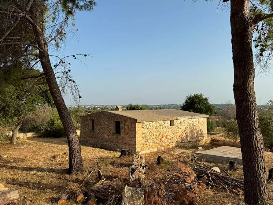 Immagine 5 di Rustico / casale in vendita  a Casarano