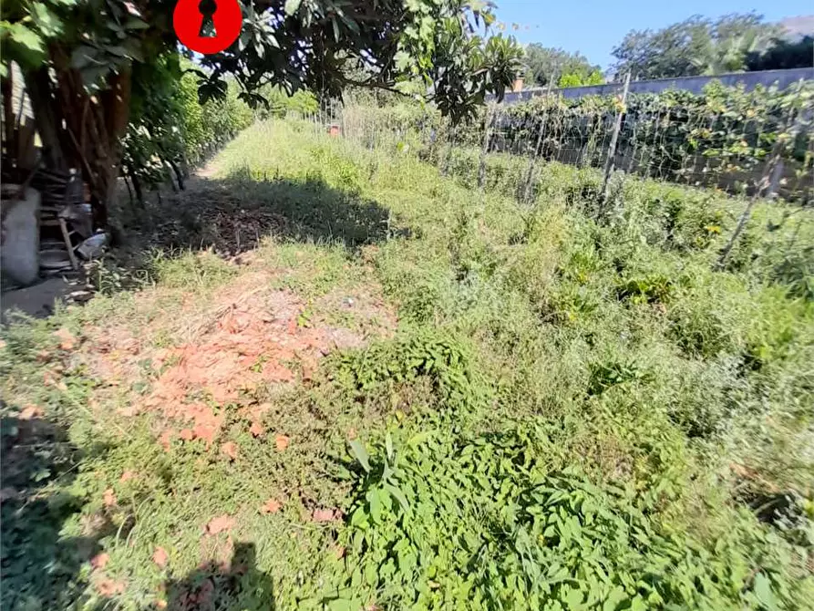 Immagine 2 di Terreno edificabile in vendita  a Santa Maria A Vico