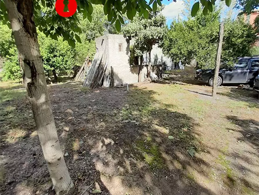 Immagine 2 di Terreno agricolo in vendita  in Via Fosso a Roccarainola