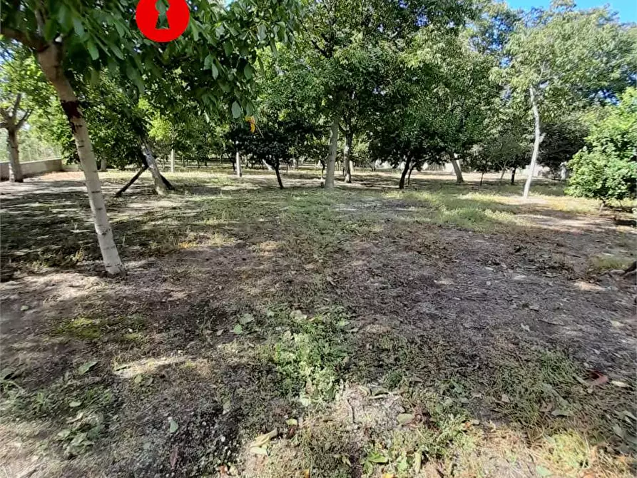 Immagine 3 di Terreno agricolo in vendita  in Via Fosso a Roccarainola