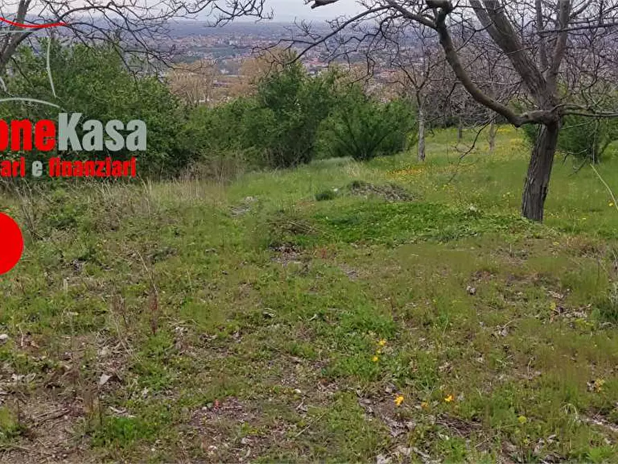 Immagine 3 di Terreno agricolo in vendita  in via Castel Cicala a Nola