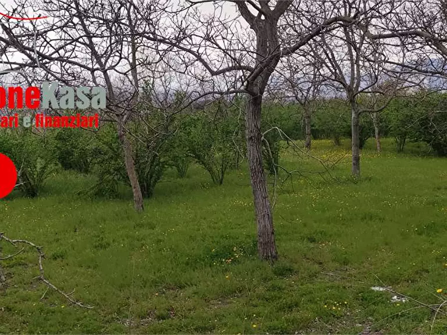 Immagine 2 di Terreno agricolo in vendita  in via Castel Cicala a Nola