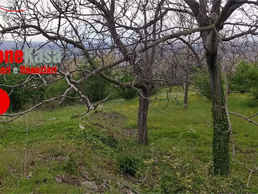 Immagine 4 di Terreno agricolo in vendita  in via Castel Cicala a Nola
