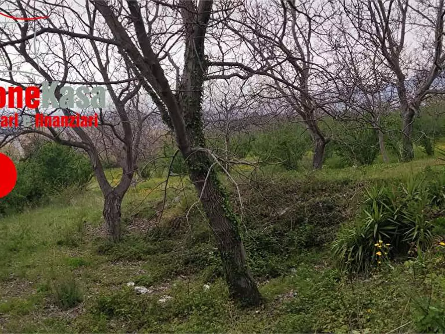 Immagine 5 di Terreno agricolo in vendita  in via Castel Cicala a Nola