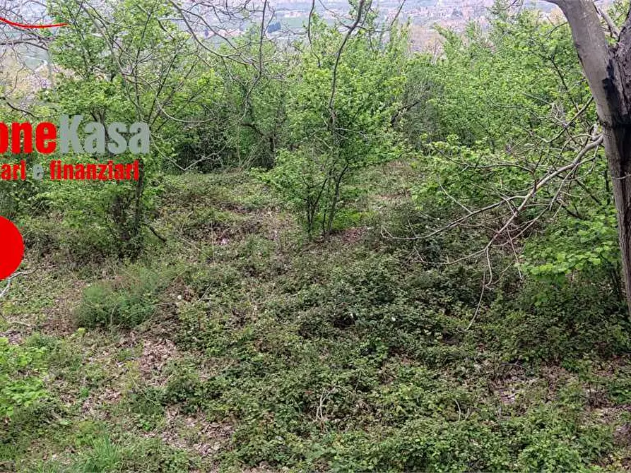 Immagine 7 di Terreno agricolo in vendita  in via Castel Cicala a Nola