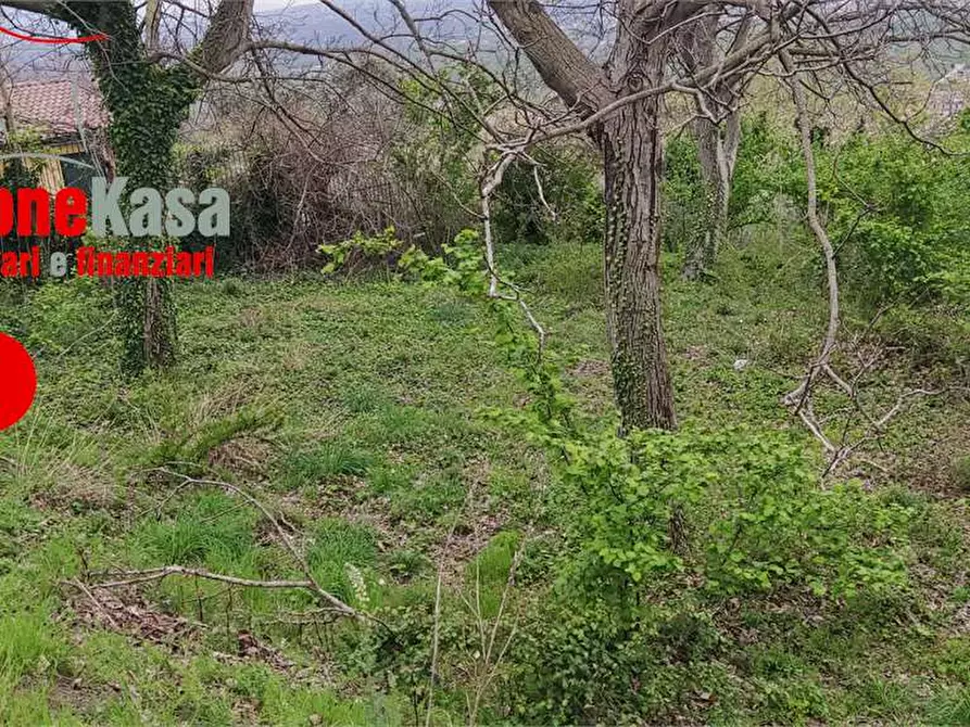 Immagine 8 di Terreno agricolo in vendita  in via Castel Cicala a Nola
