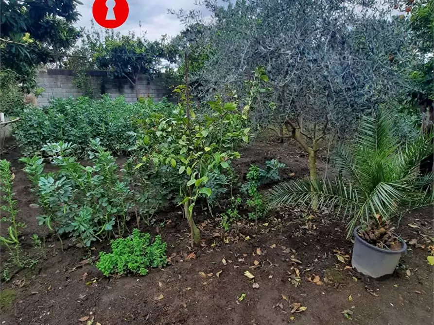 Immagine 2 di Terreno agricolo in vendita  in Polvica a San Felice A Cancello