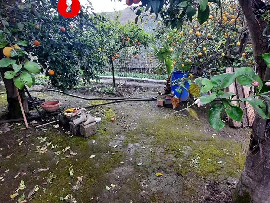 Immagine 3 di Terreno agricolo in vendita  in Polvica a San Felice A Cancello