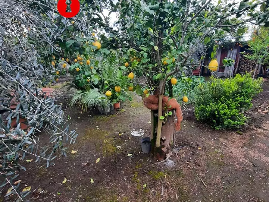 Immagine 4 di Terreno agricolo in vendita  in Polvica a San Felice A Cancello