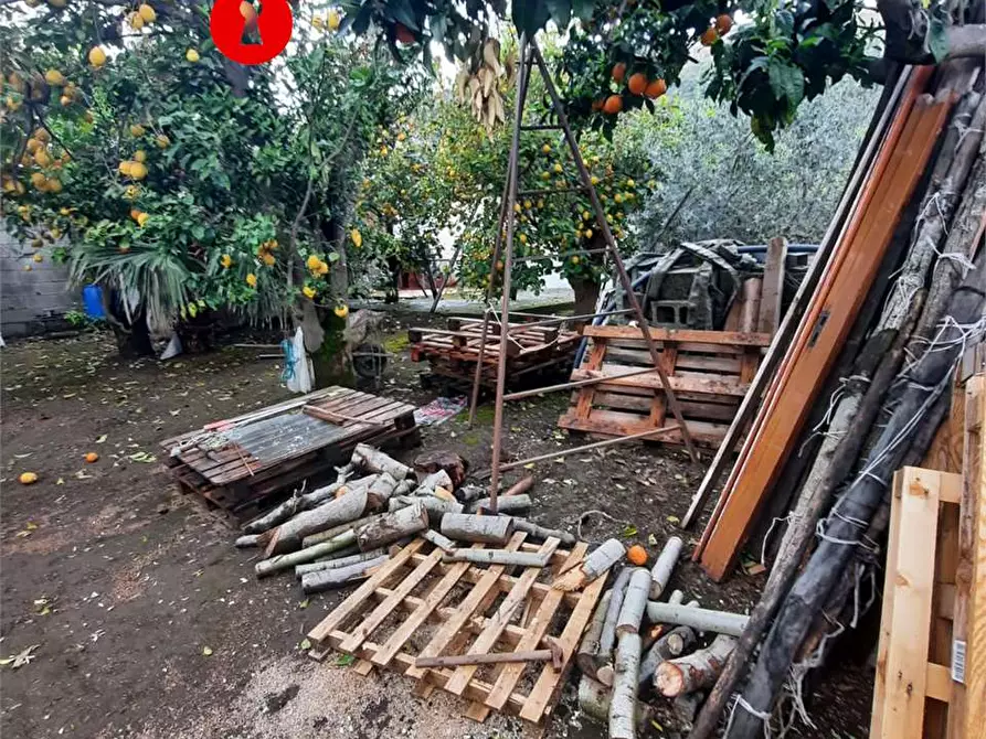 Immagine 7 di Terreno agricolo in vendita  in Polvica a San Felice A Cancello