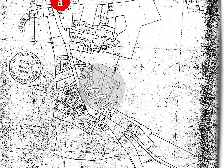 Immagine 3 di Stabile in vendita  a Avella