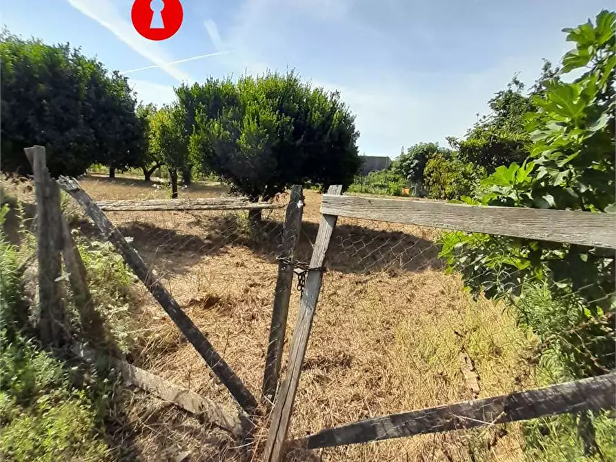 Immagine 3 di Terreno agricolo in vendita  in via polvica a Nola