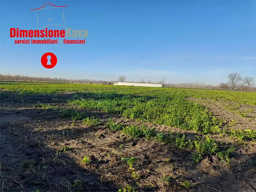 Immagine 4 di Terreno agricolo in vendita  in Via duchessa di marigliano a Nola