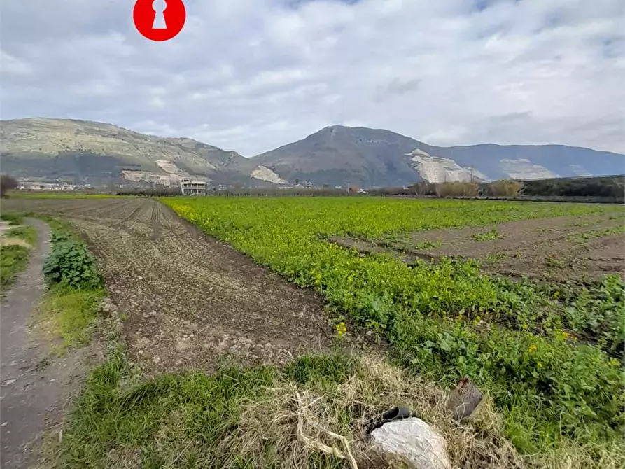 Immagine 6 di Terreno agricolo in vendita  in Via duchessa di marigliano a Nola
