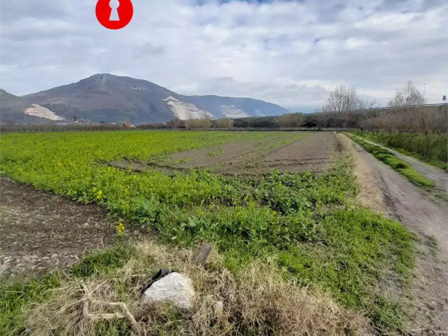 Immagine 8 di Terreno agricolo in vendita  in Via duchessa di marigliano a Nola