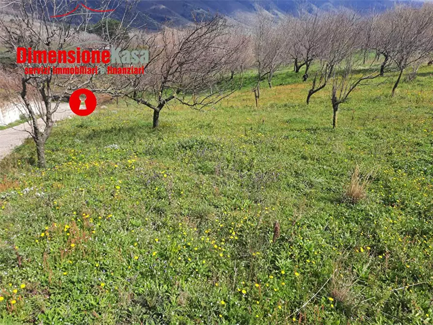 Immagine 8 di Rustico / casale in vendita  in  Via Santa Lucia a Roccarainola