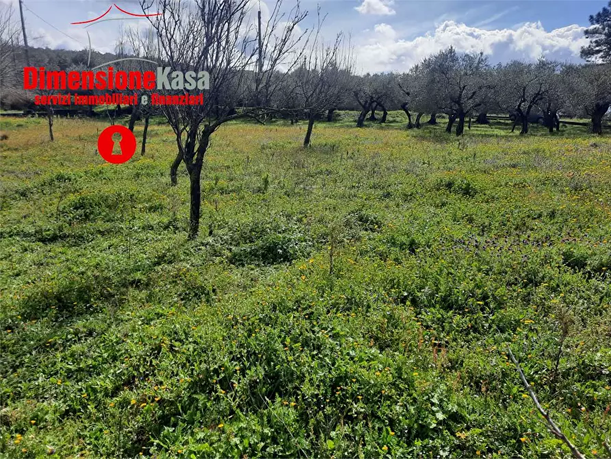 Immagine 9 di Rustico / casale in vendita  in  Via Santa Lucia a Roccarainola