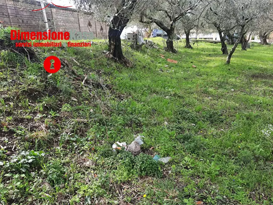 Immagine 15 di Rustico / casale in vendita  in  Via Santa Lucia a Roccarainola