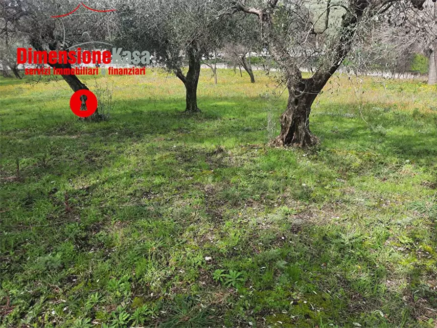 Immagine 16 di Rustico / casale in vendita  in  Via Santa Lucia a Roccarainola