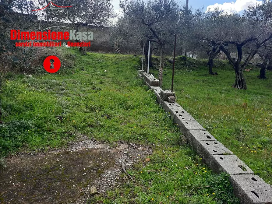 Immagine 17 di Rustico / casale in vendita  in  Via Santa Lucia a Roccarainola