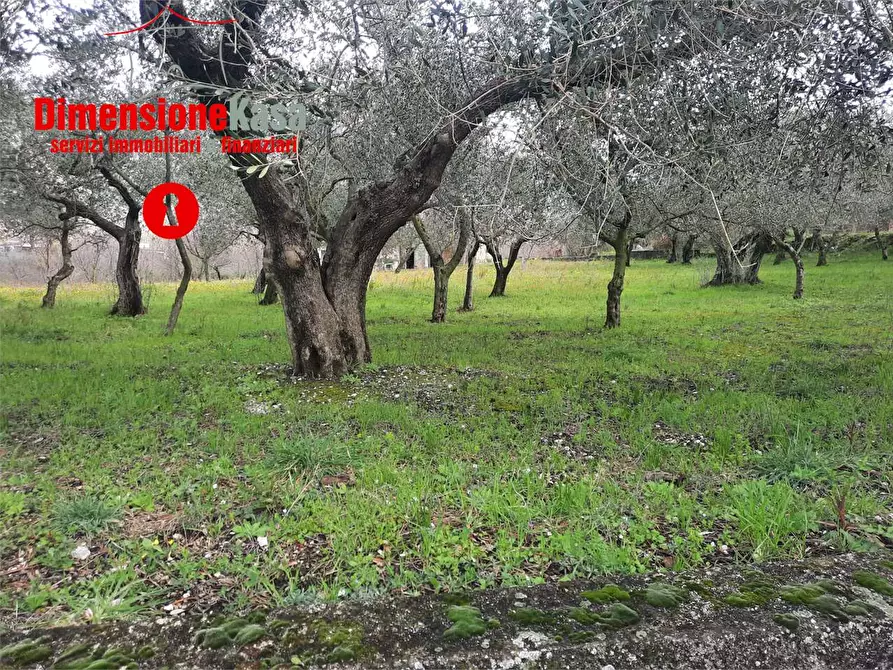 Immagine 21 di Rustico / casale in vendita  in  Via Santa Lucia a Roccarainola