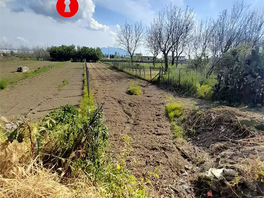 Immagine 2 di Terreno agricolo in vendita  in Polvica a Nola