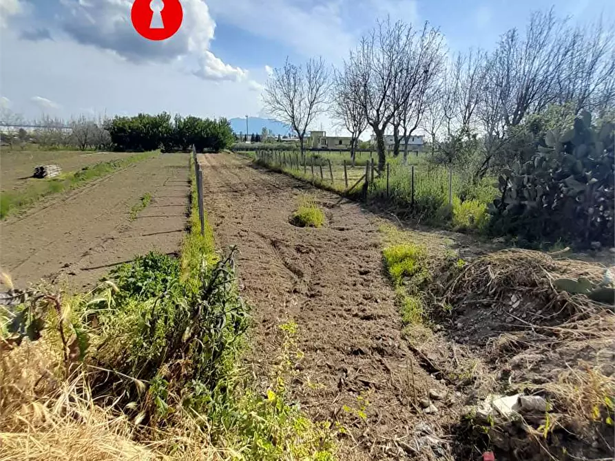 Immagine 3 di Terreno agricolo in vendita  in Polvica a Nola