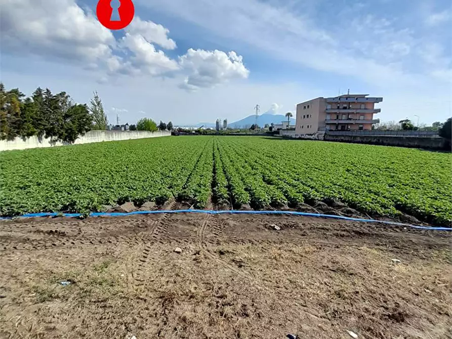 Immagine 1 di Terreno agricolo in vendita  in polvica a Nola