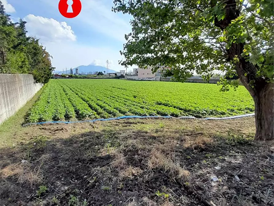 Immagine 2 di Terreno agricolo in vendita  in polvica a Nola