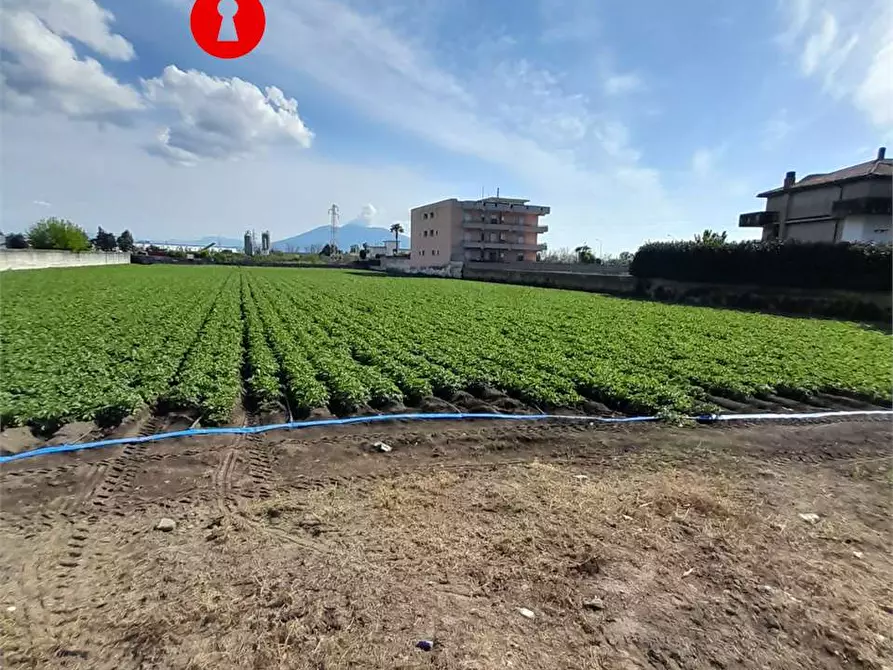 Immagine 3 di Terreno agricolo in vendita  in polvica a Nola