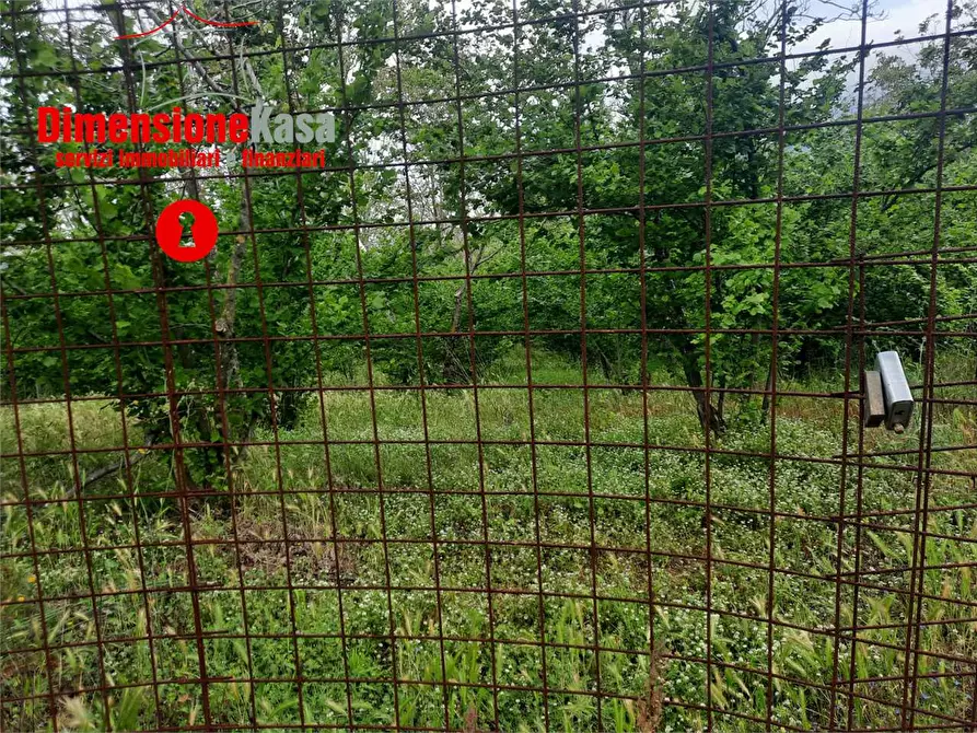 Immagine 5 di Terreno edificabile in vendita  in via giacomo matteotti a Roccarainola