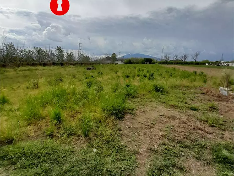 Immagine 1 di Terreno agricolo in vendita  a Acerra