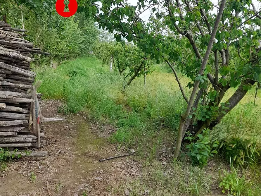 Immagine 3 di Terreno agricolo in vendita  a Acerra