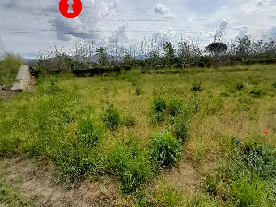 Immagine 4 di Terreno agricolo in vendita  a Acerra