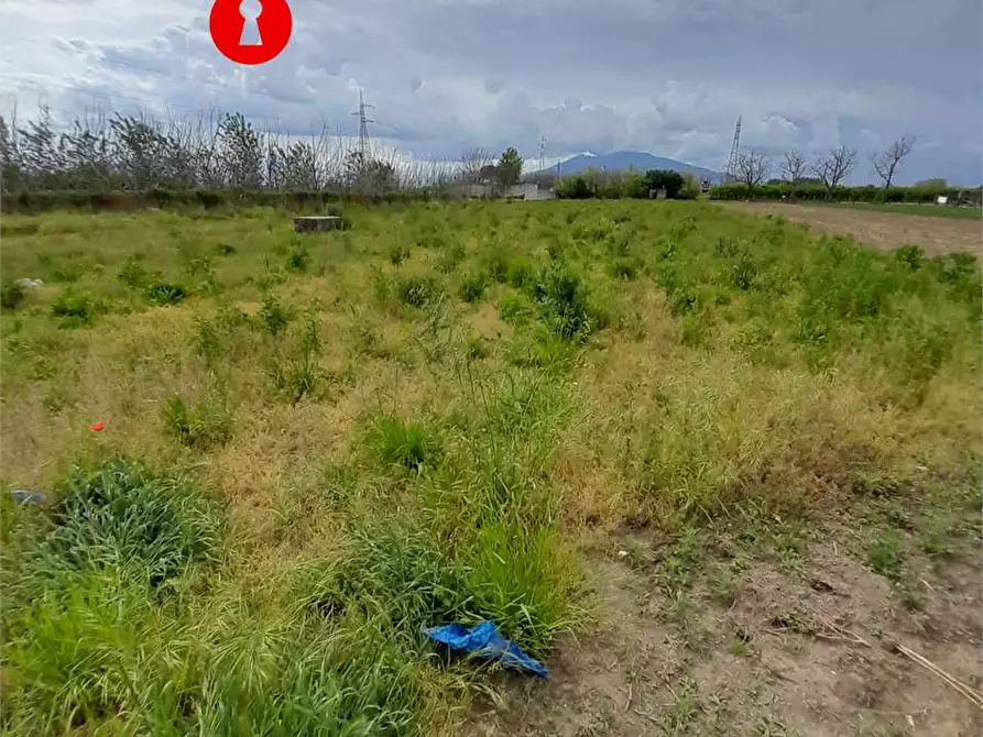 Immagine 8 di Terreno agricolo in vendita  a Acerra