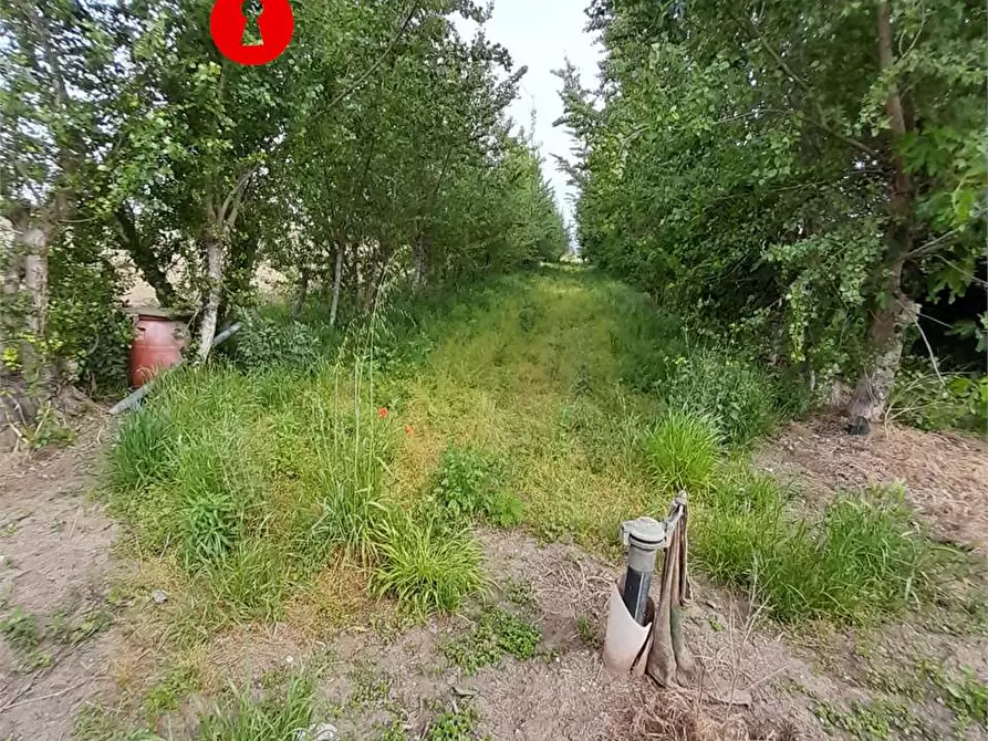 Immagine 10 di Terreno agricolo in vendita  a Acerra