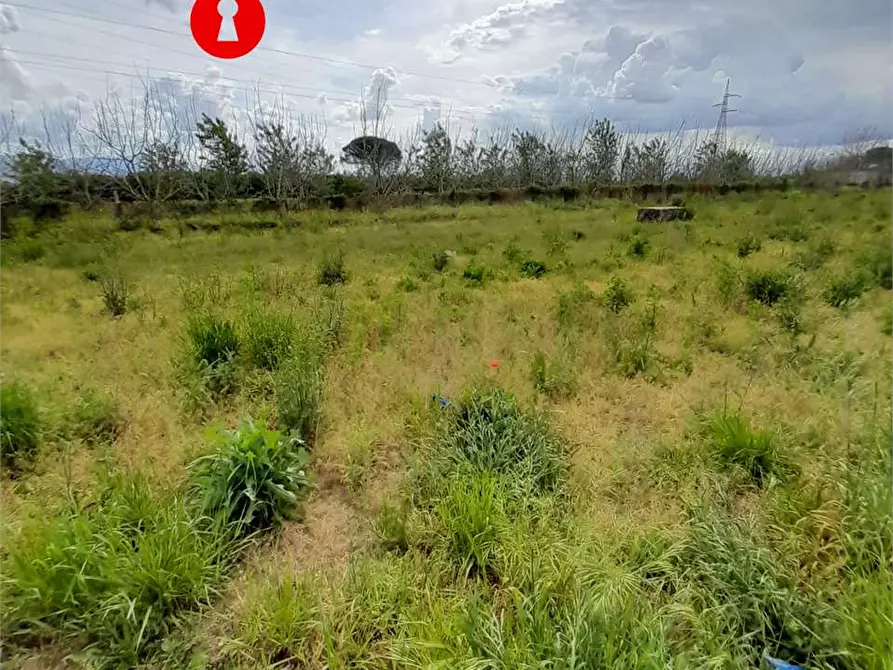 Immagine 11 di Terreno agricolo in vendita  a Acerra