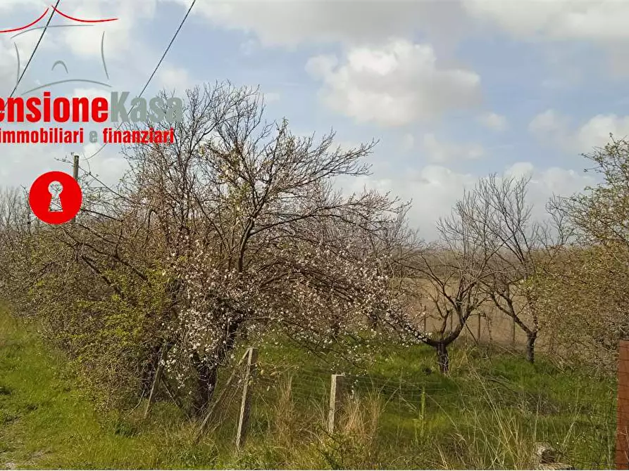 Immagine 1 di Terreno agricolo in vendita  in viale degli oleandri a Cimitile