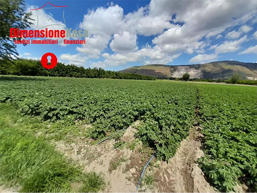 Immagine 1 di Terreno agricolo in vendita  in pezzalunga  a Acerra