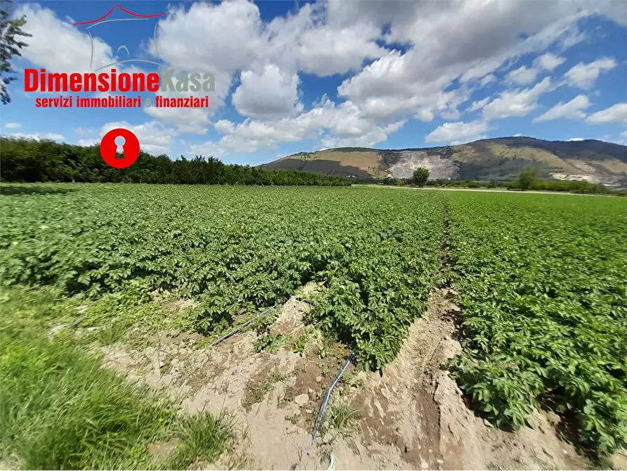 Immagine 3 di Terreno agricolo in vendita  in pezzalunga  a Acerra
