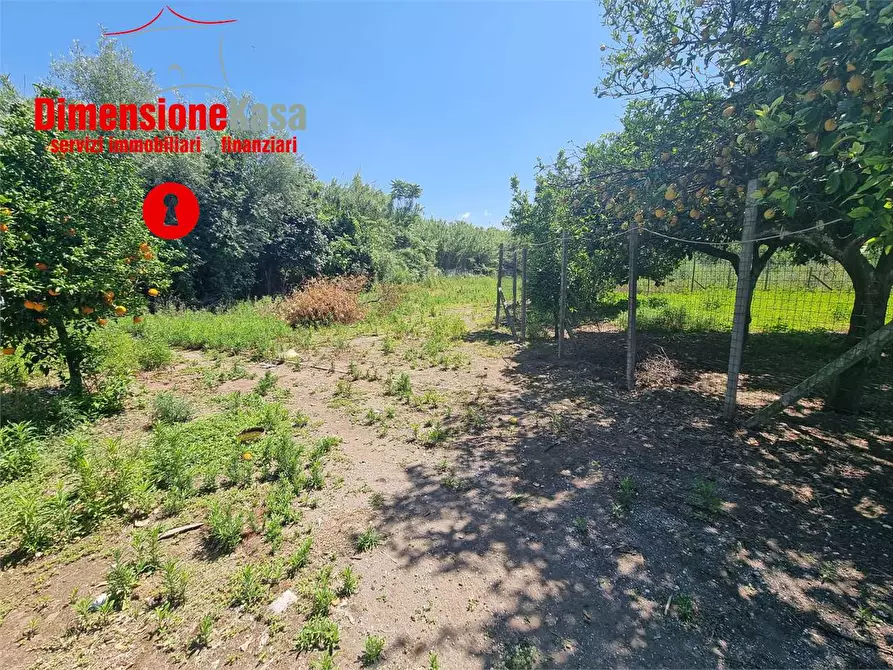 Immagine 2 di Terreno agricolo in vendita  in via pasquale quatrano a Camposano