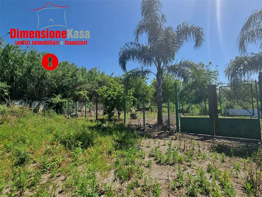 Immagine 3 di Terreno agricolo in vendita  in via pasquale quatrano a Camposano