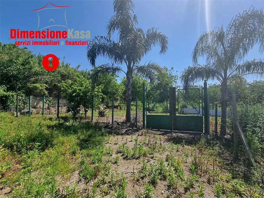 Immagine 4 di Terreno agricolo in vendita  in via pasquale quatrano a Camposano