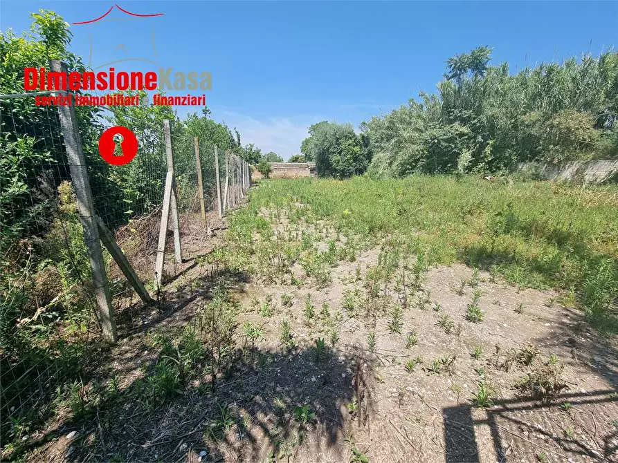 Immagine 5 di Terreno agricolo in vendita  in via pasquale quatrano a Camposano