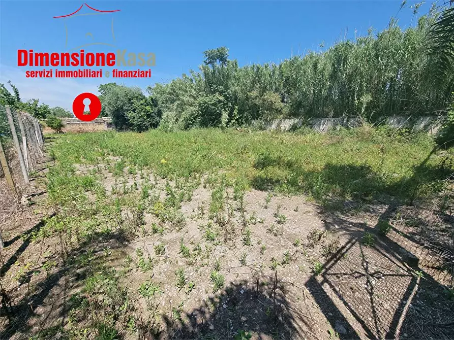 Immagine 6 di Terreno agricolo in vendita  in via pasquale quatrano a Camposano