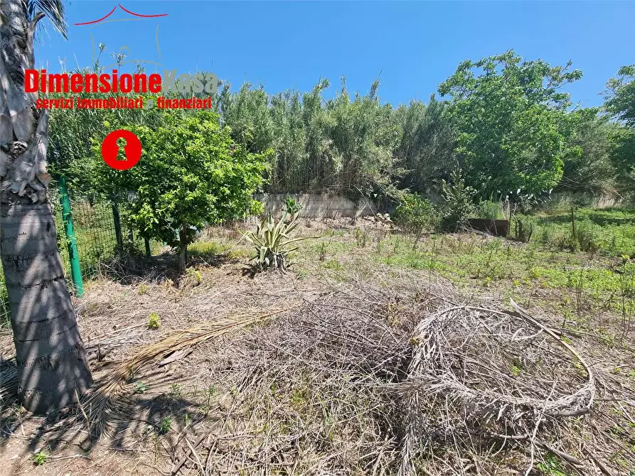 Immagine 7 di Terreno agricolo in vendita  in via pasquale quatrano a Camposano