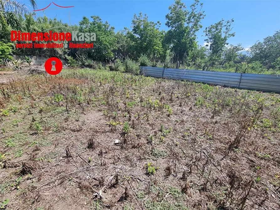 Immagine 9 di Terreno agricolo in vendita  in via pasquale quatrano a Camposano