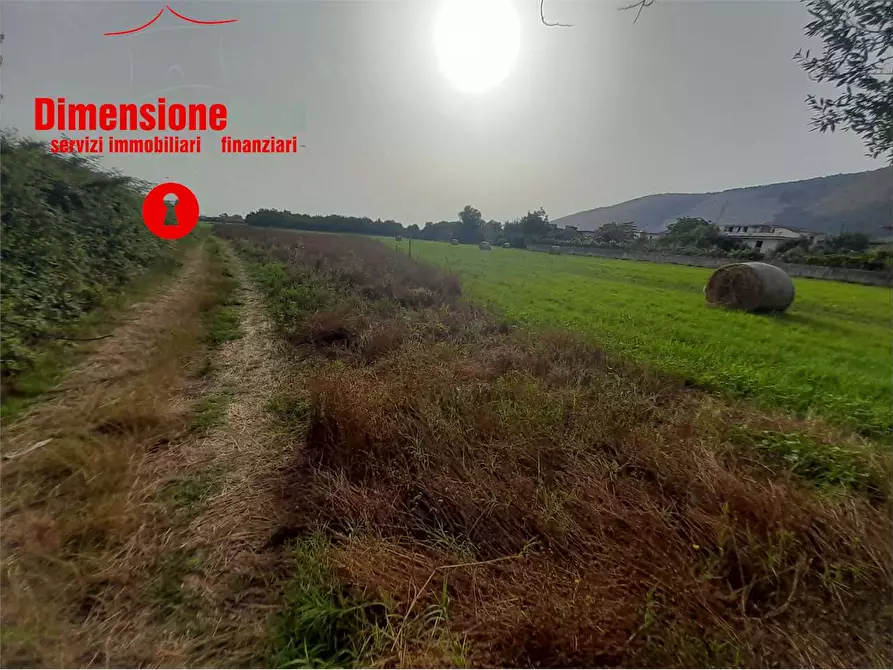Immagine 2 di Terreno agricolo in vendita  in Via mulino a Nola
