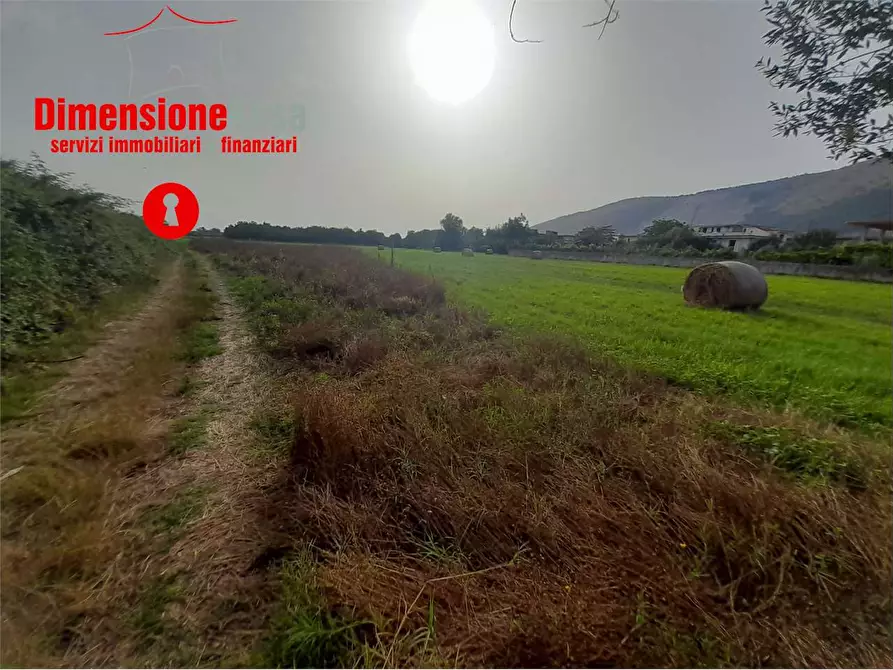 Immagine 3 di Terreno agricolo in vendita  in Via mulino a Nola